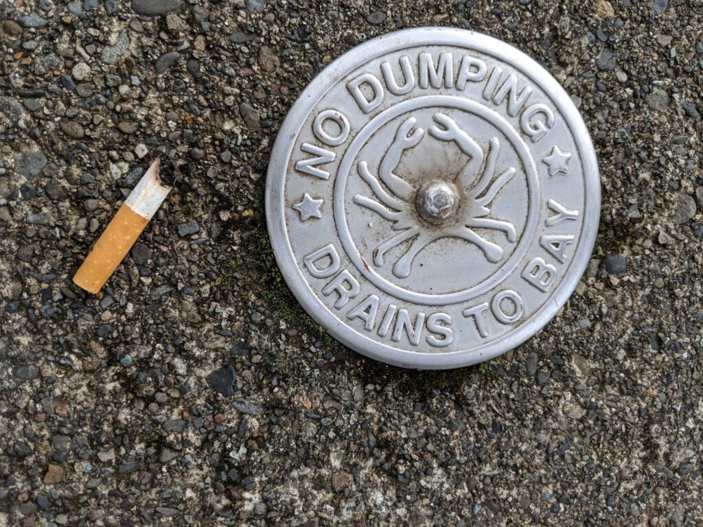 Storm drain medallion-downtown Coos Bay
