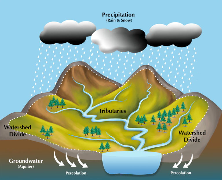 Who We Are – Coos Watershed Association