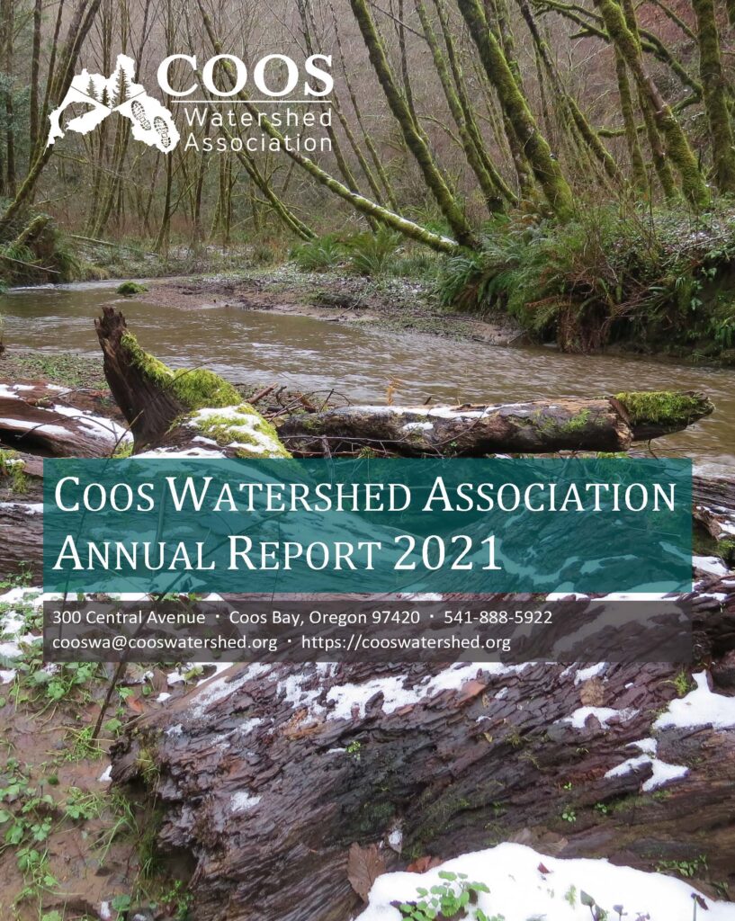2021 annual report cover_Page_01
