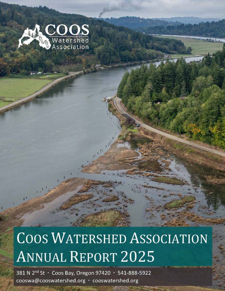 2025 annual report cover page