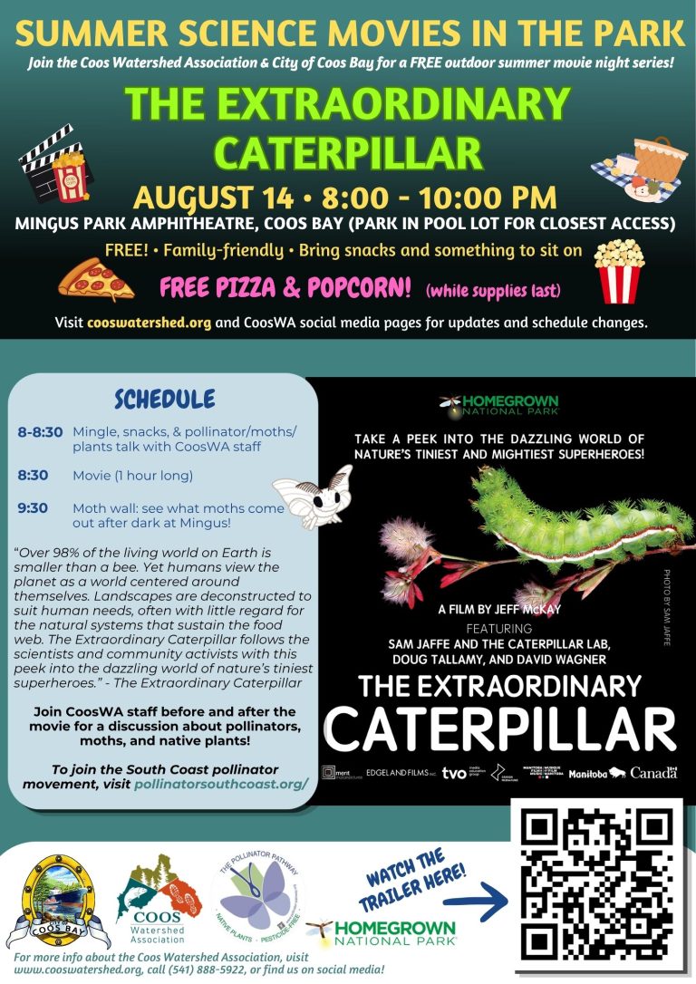 Caterpillar movie - 2026 summer movie flyer(4)