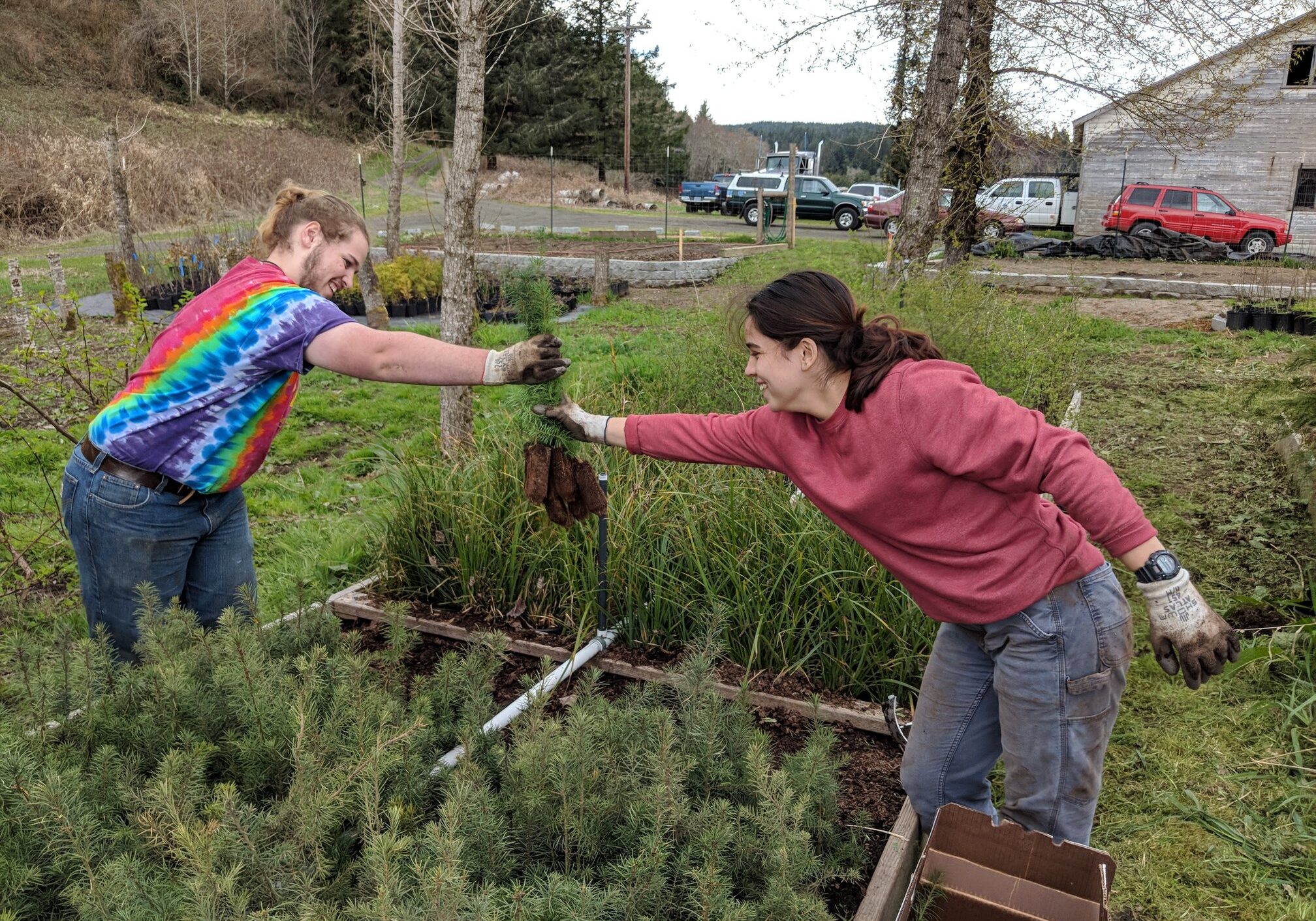 nursery_volunteer_day_2019